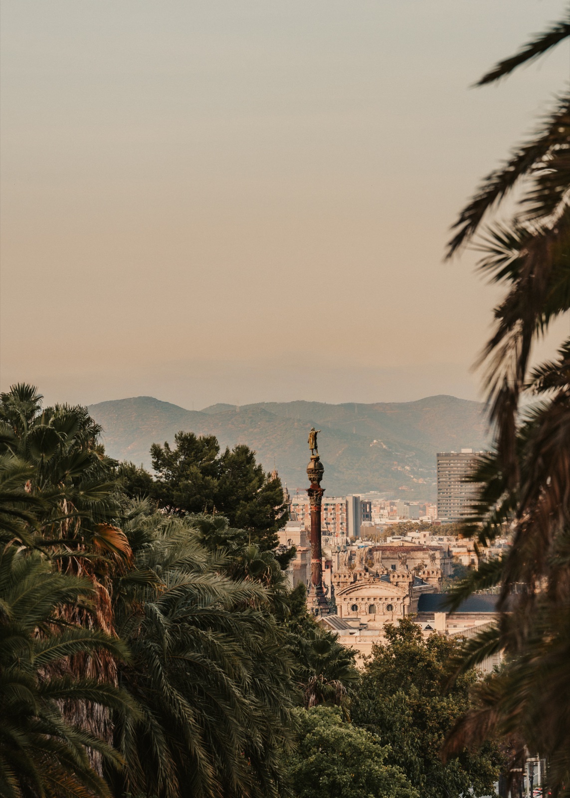 The Columbus Monument seen between palm trees, with the hills beyond