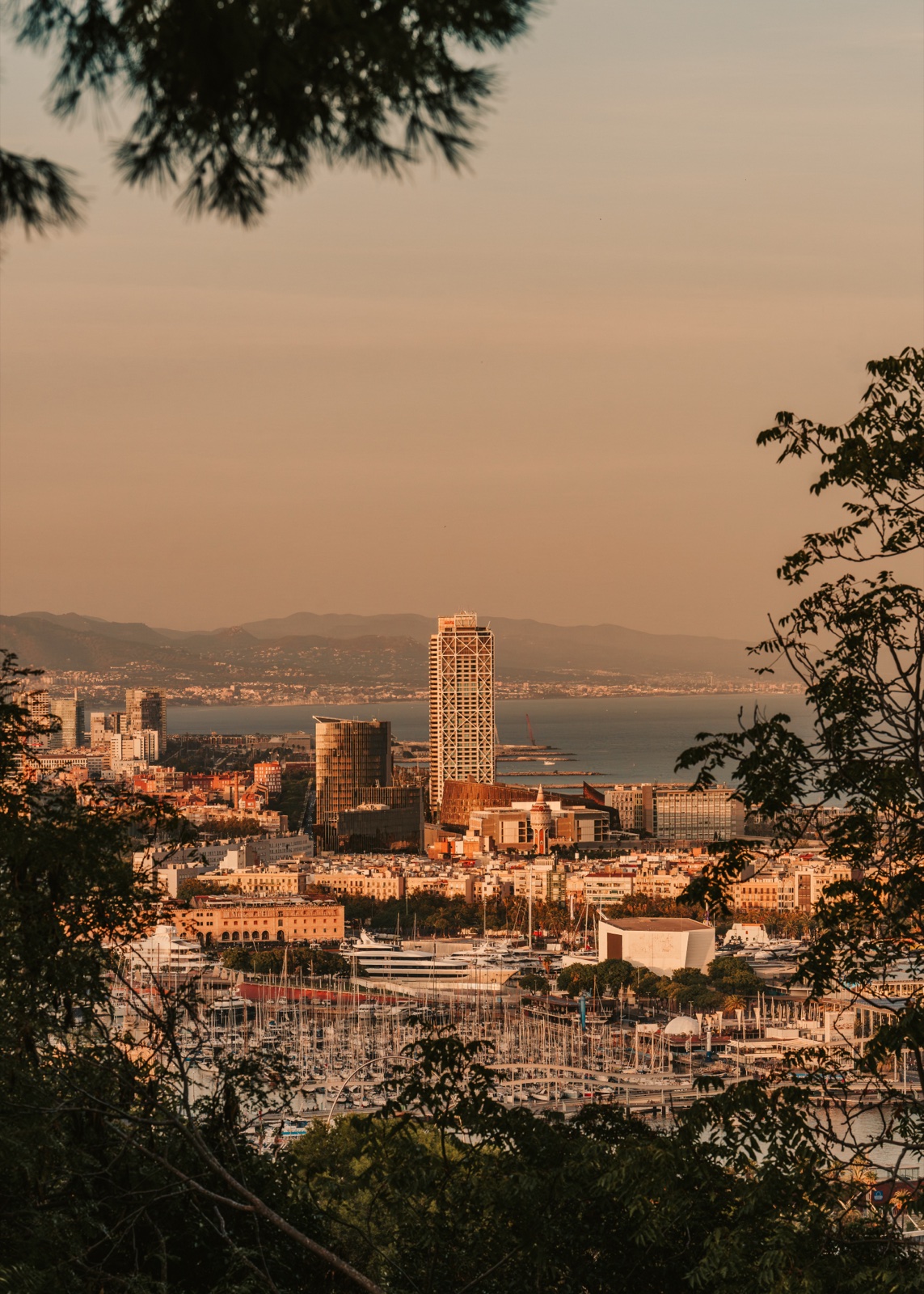The waterfront towers and the marina seen through trees, with the sea beyond