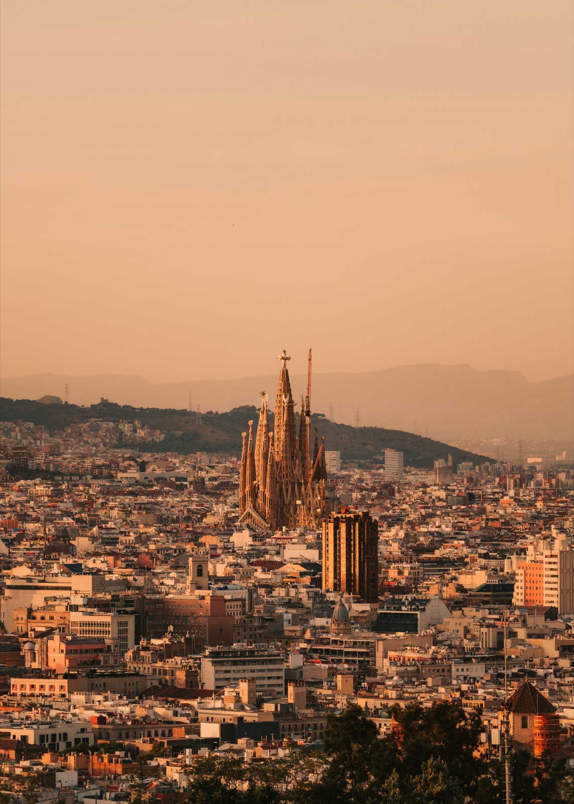 The Sagrada Família rising above the rooftops in warm light