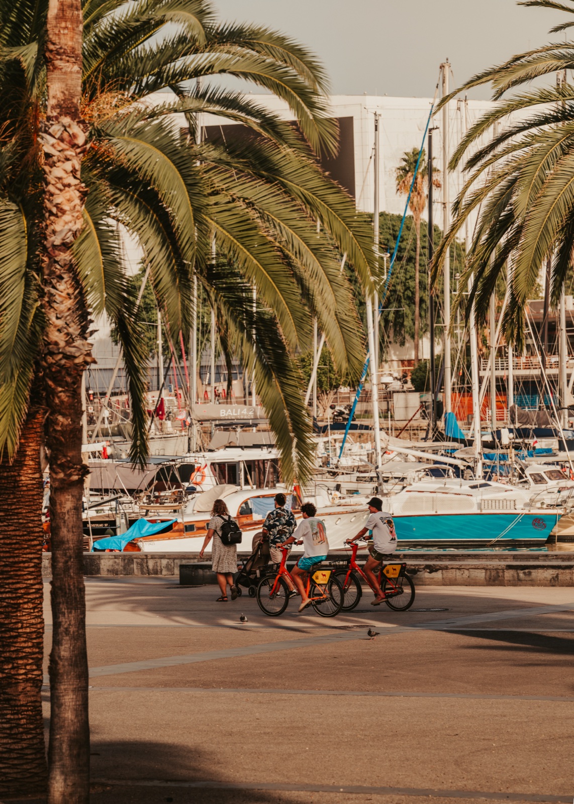 Cyclists passing beneath palm trees beside the marina’s sailing boats
